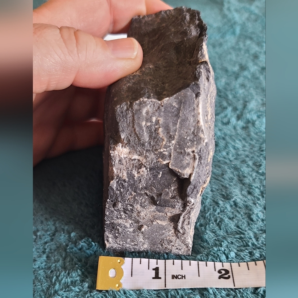 Trillobite Fossil Stone - Picture 10 of 10